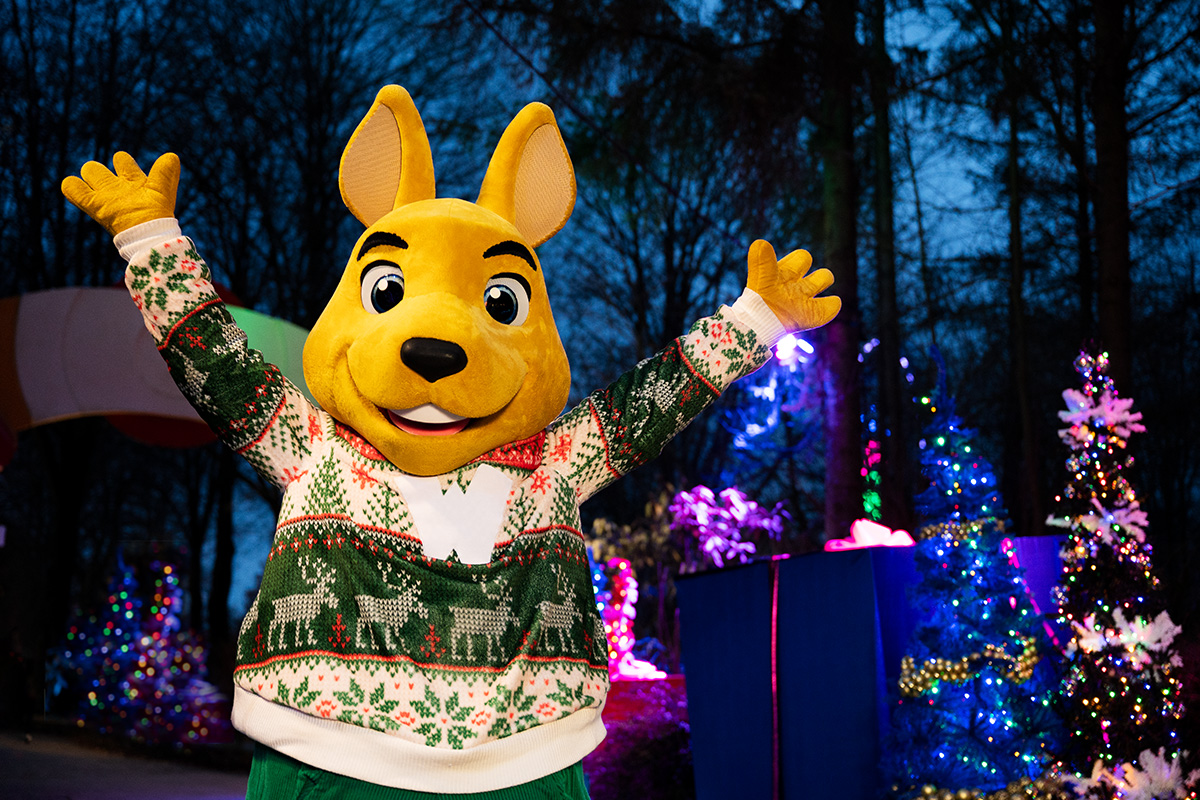 Entreeticket Walibi Bright Nights + overnachting Walibi Village