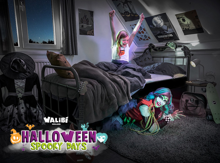 Entreeticket Walibi Spooky Days + overnachting Walibi Village