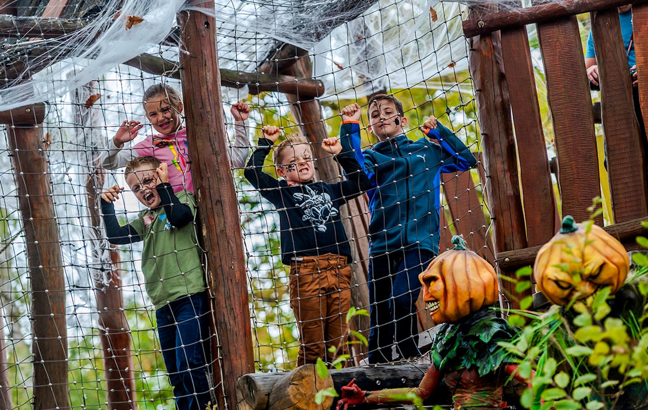 Entreeticket Parc Astérix