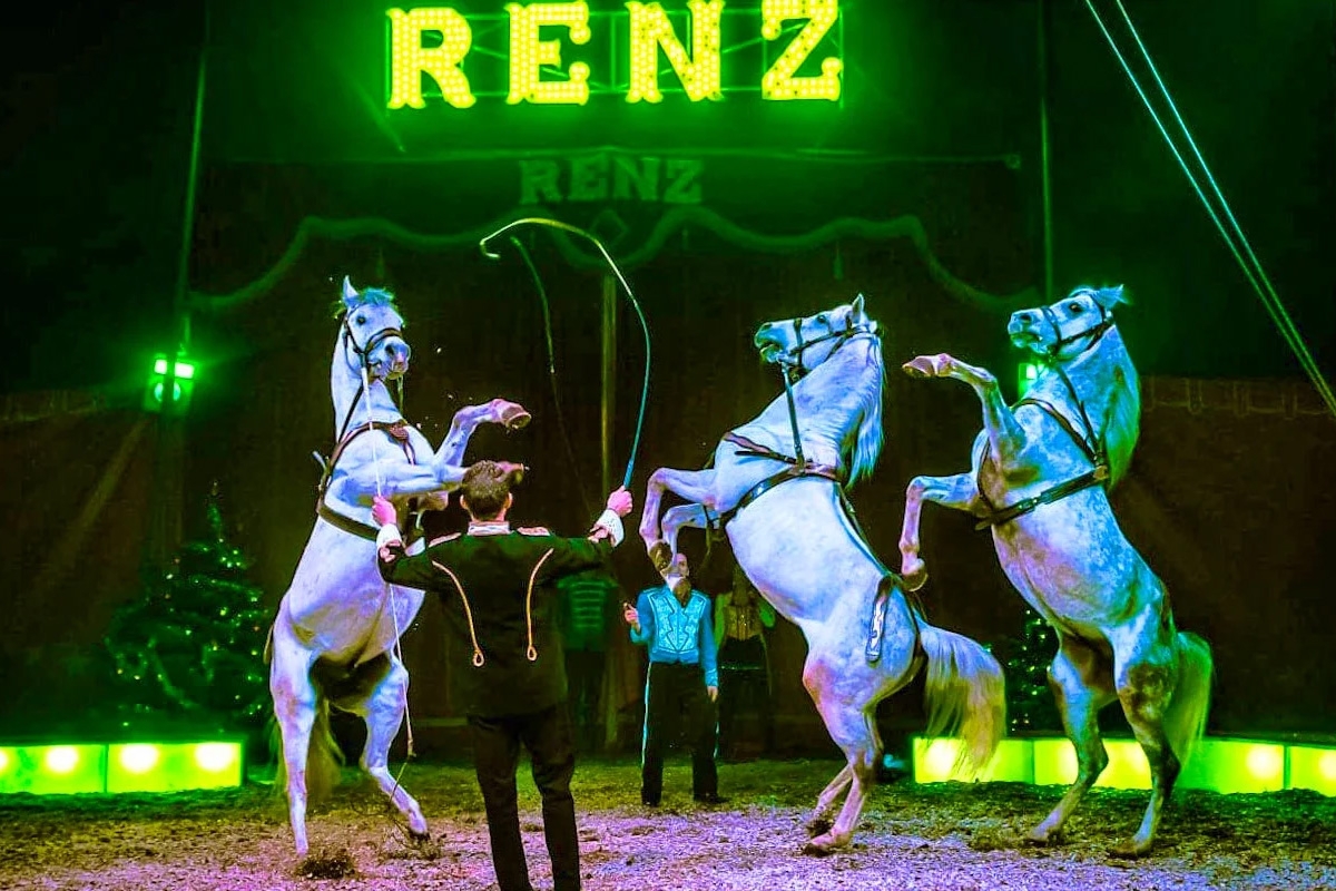 Parketticket Circus Renz Berlin