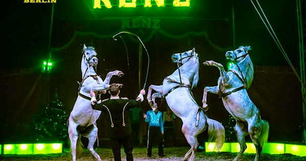 Sandro Renz Circus Renz Berlin | Actieprijs € 14,50 (-37%) - Tripper.be