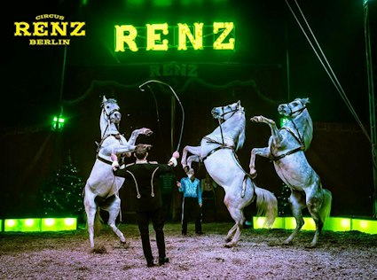 Circus Renz Berlin | Actieprijs € 14,50 (-37%) - Tripper.be