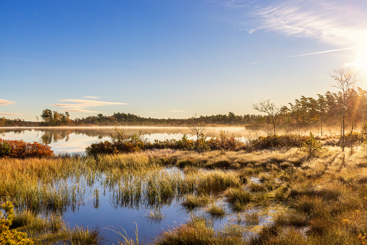 Parkhotel Bad Arcen | Verblijf in 4* hotel in De Maasduinen | incl. Thermaalbad Arcen