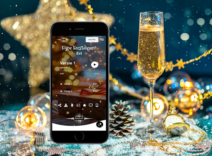 Persoonlijk liedje cadeau (100% op maat gemaakt)