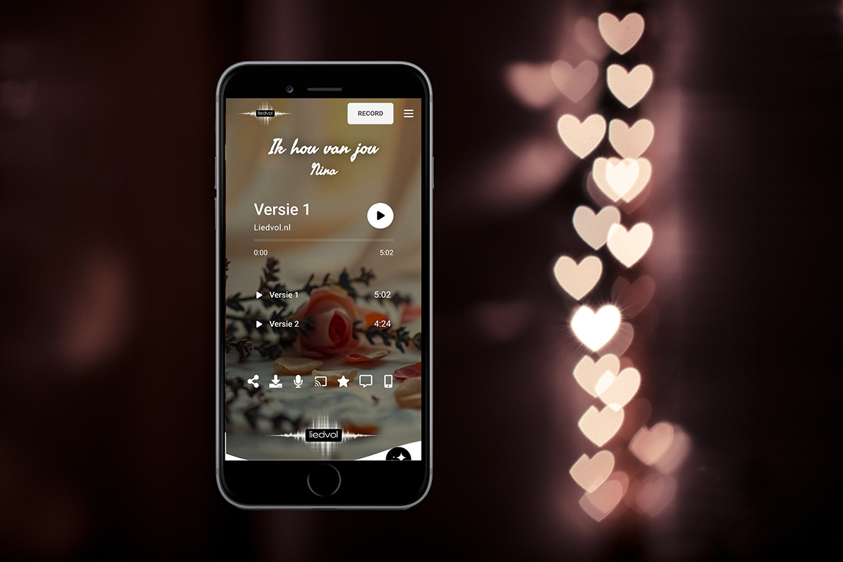 Persoonlijk liedje cadeau (100% op maat gemaakt)