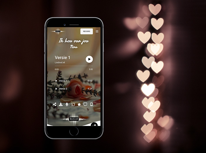 Persoonlijk liedje cadeau (100% op maat gemaakt)