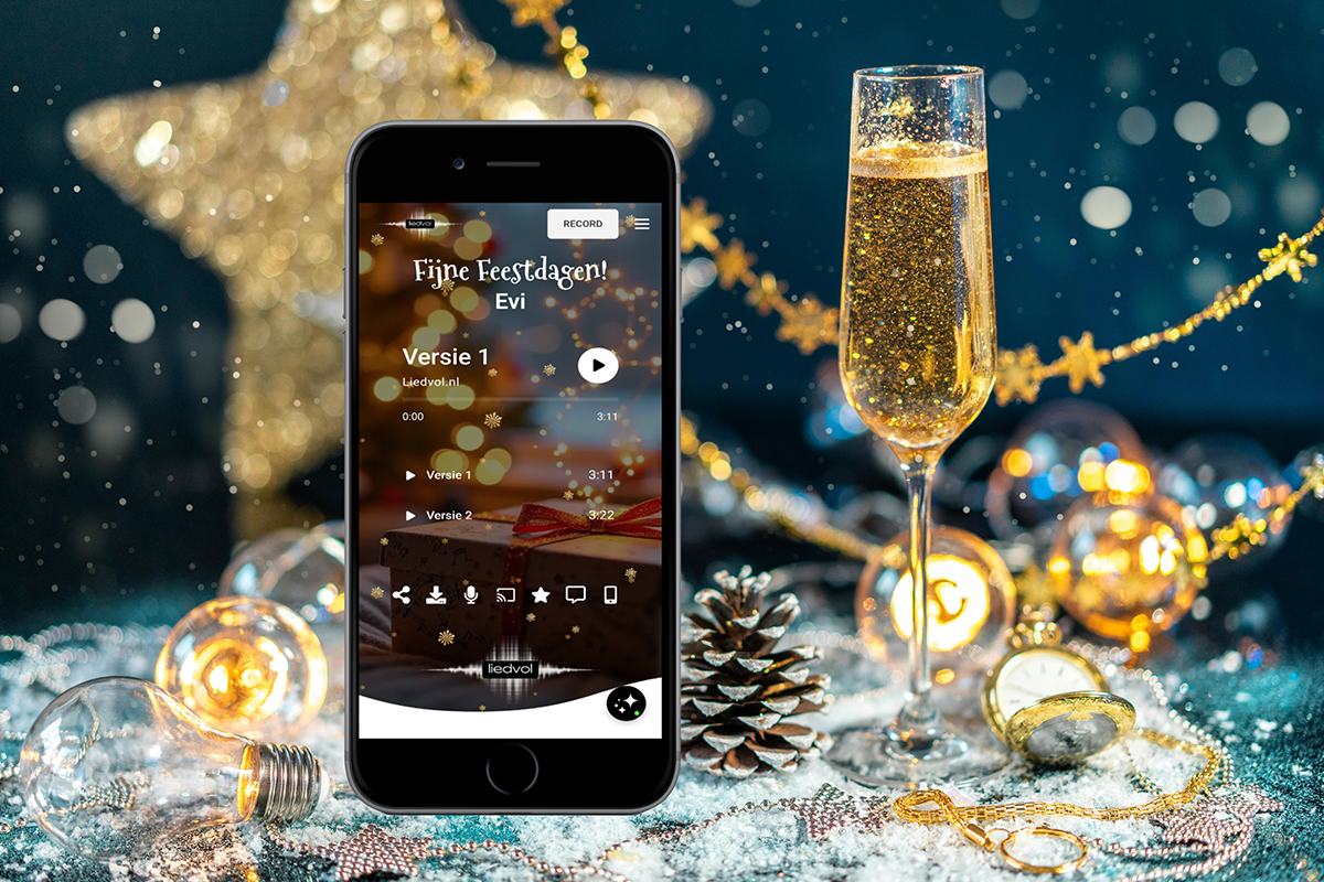 Persoonlijk liedje cadeau (100% op maat gemaakt)