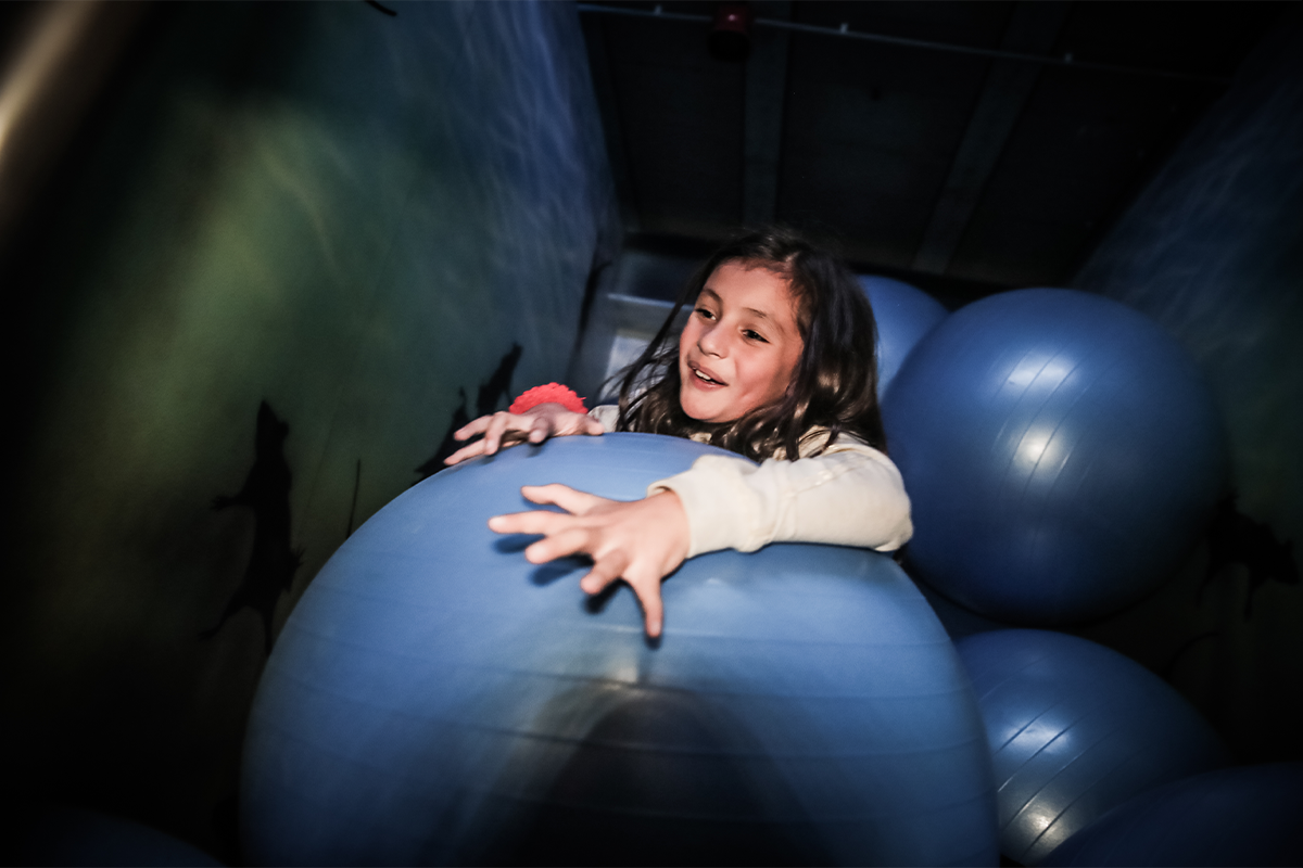 Prison Island (1,5 uur) bij All in Echt