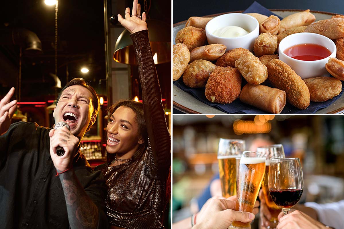 Privé-karaoke (2 uur) + drankjes en borrelplank