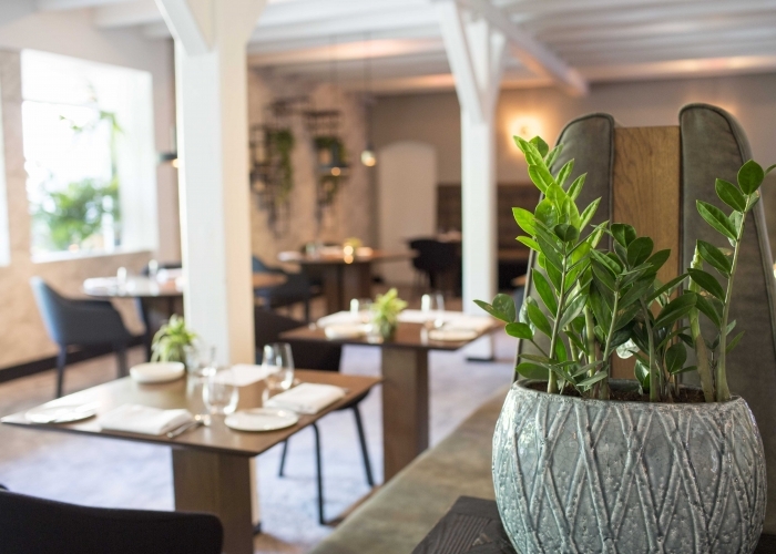 Uitgebreid Michelin proeverij bij Restaurant Niven in Rijswijk