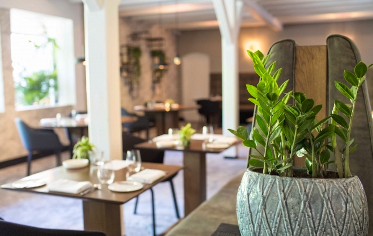 Uitgebreid Michelin proeverij bij Restaurant Niven in Rijswijk