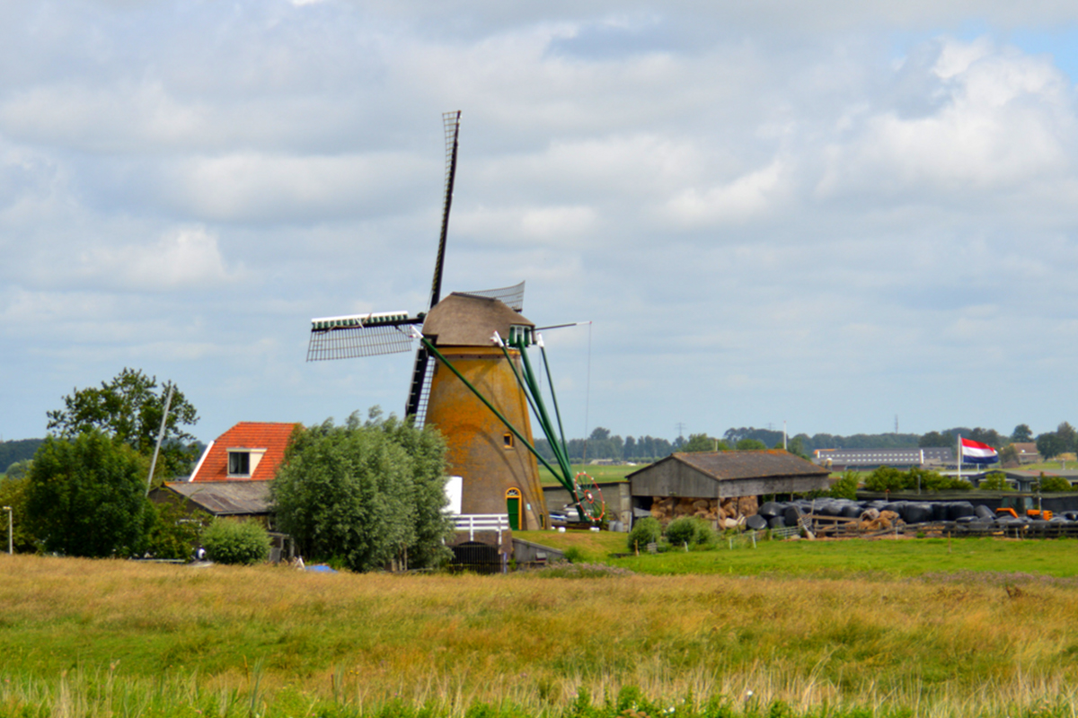 Rondvaart door het Groene Hart vanuit Leiderdorp 