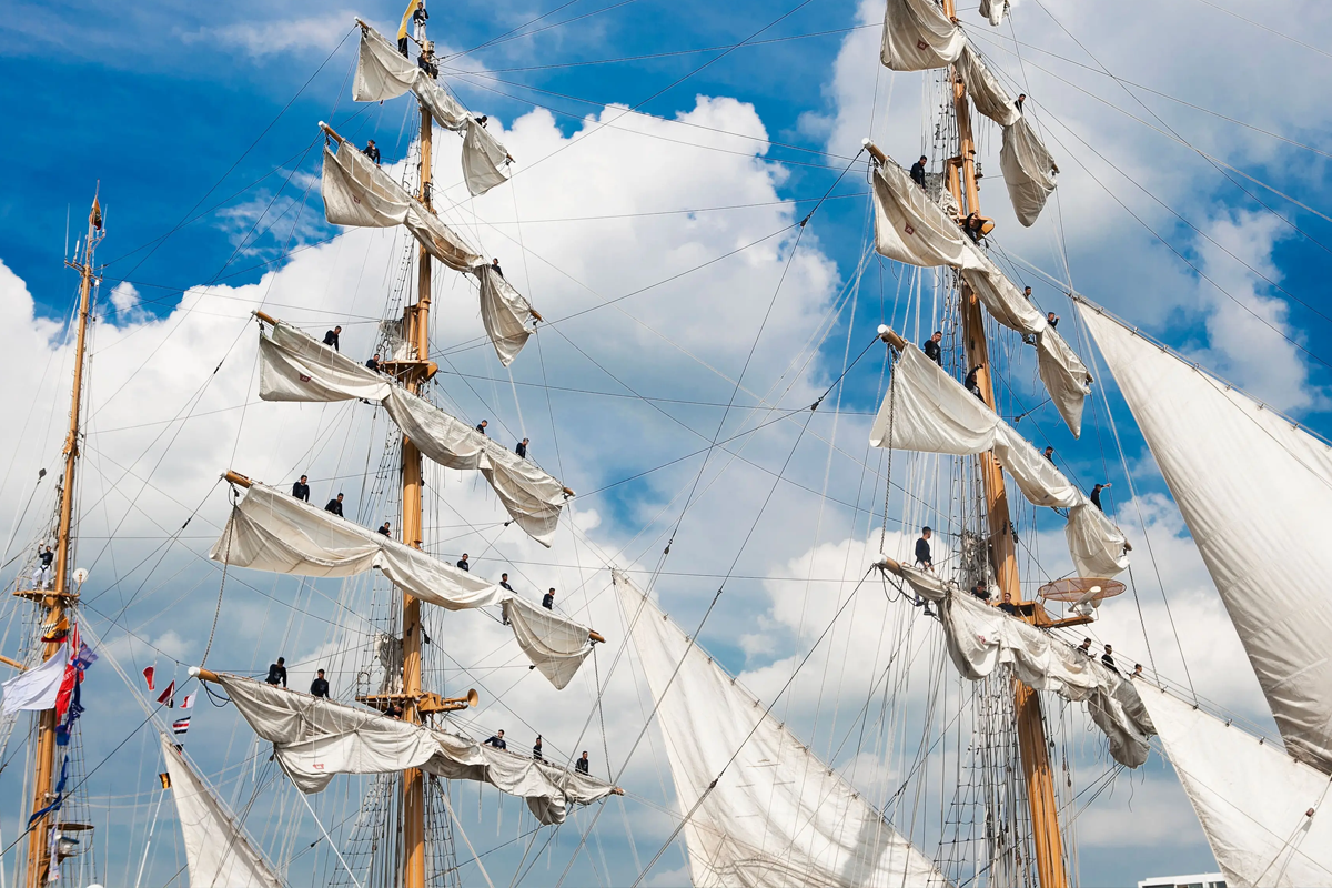 SAIL Amsterdam 2025 rondvaart incl. kaasplank + drankje (2 uur)