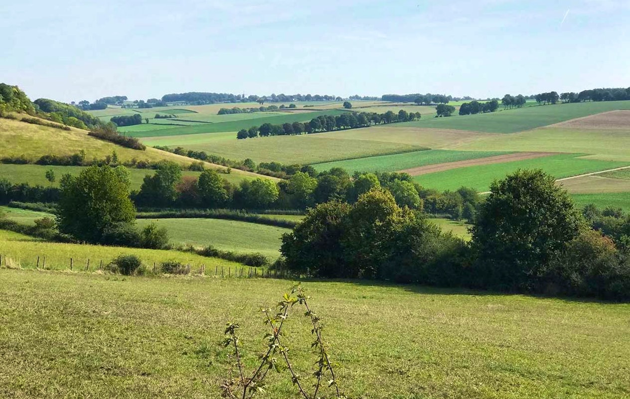 Scooter huren (hele dag) Scooterverhuur Limburg