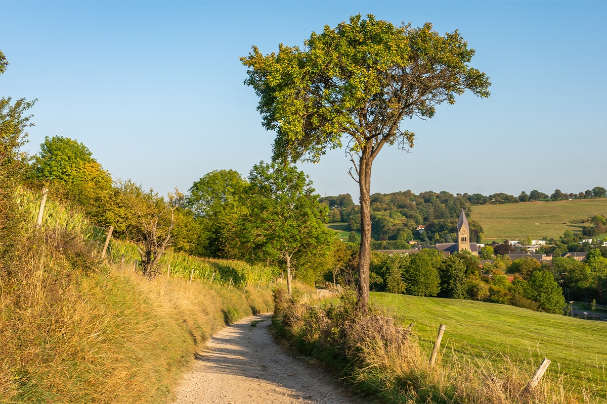 Scooter of E-chopper tocht door het Heuvelland