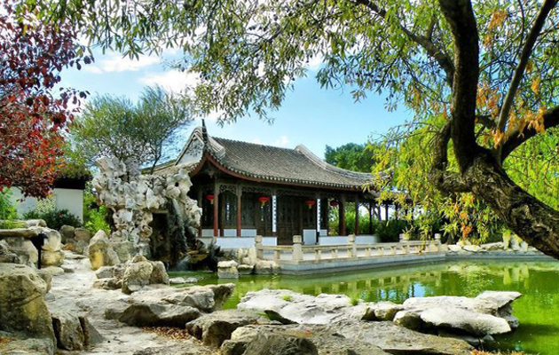 Set van 2 Bonsai boompjes 