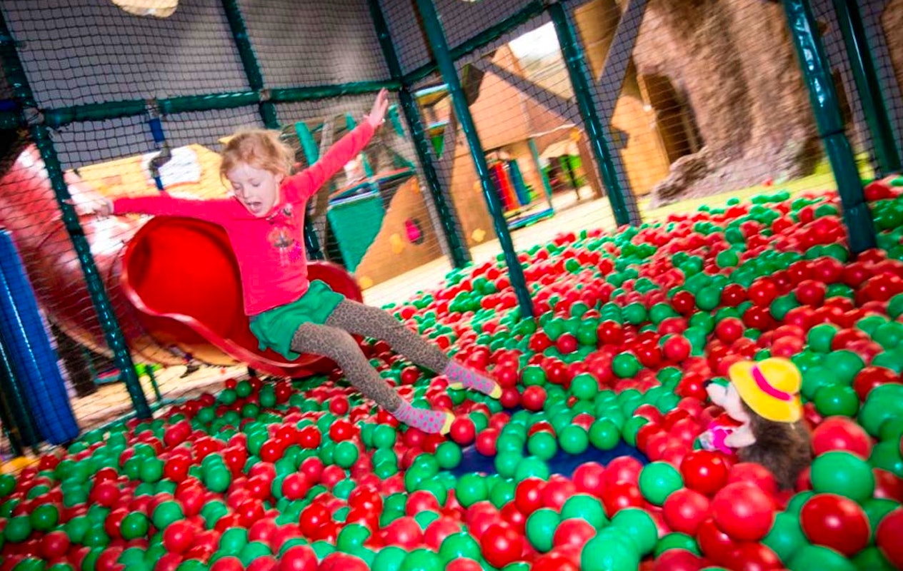 Spelen en Plonsen bij de Holle Bolle Boom