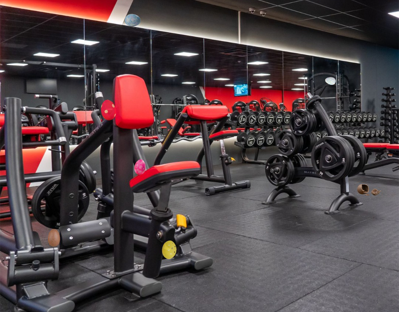 Sporten bij Snapfitness IJmuiden