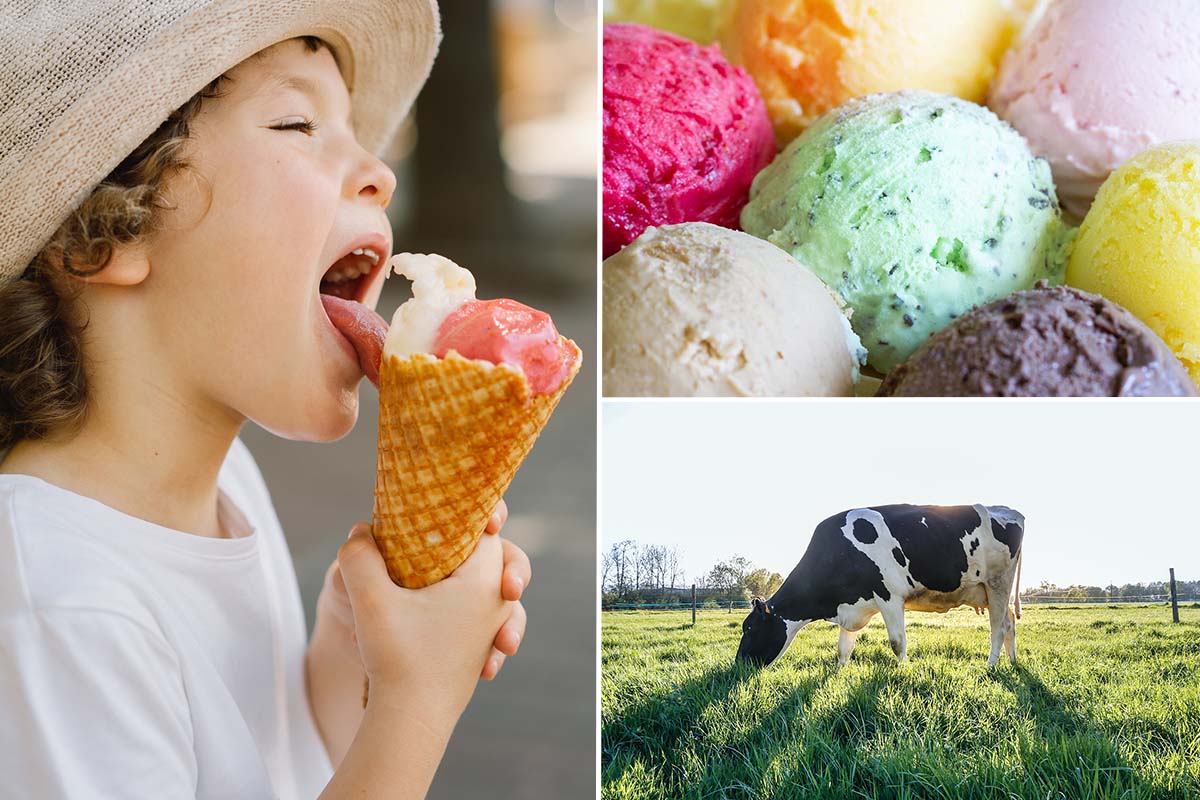 Strippenkaart voor 11 bollen ijs bij Boerderij Boterhuys