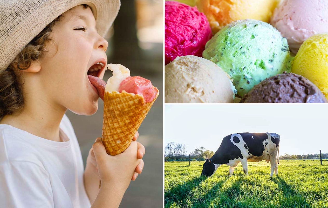 Strippenkaart voor 11 bollen ijs bij Boerderij Boterhuys