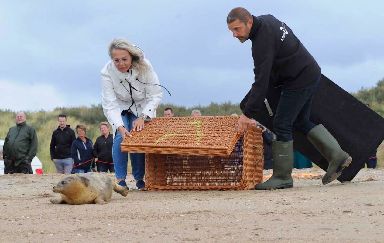 Entreeticket A Seal Stellendam