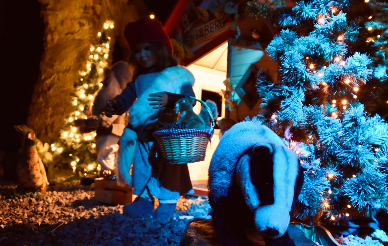 Entreeticket Aardbeienland