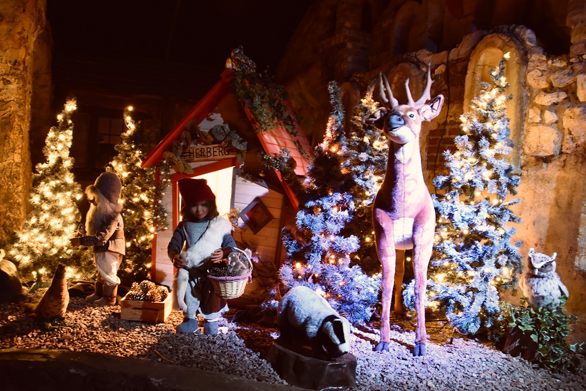 Entreeticket Aardbeienland 