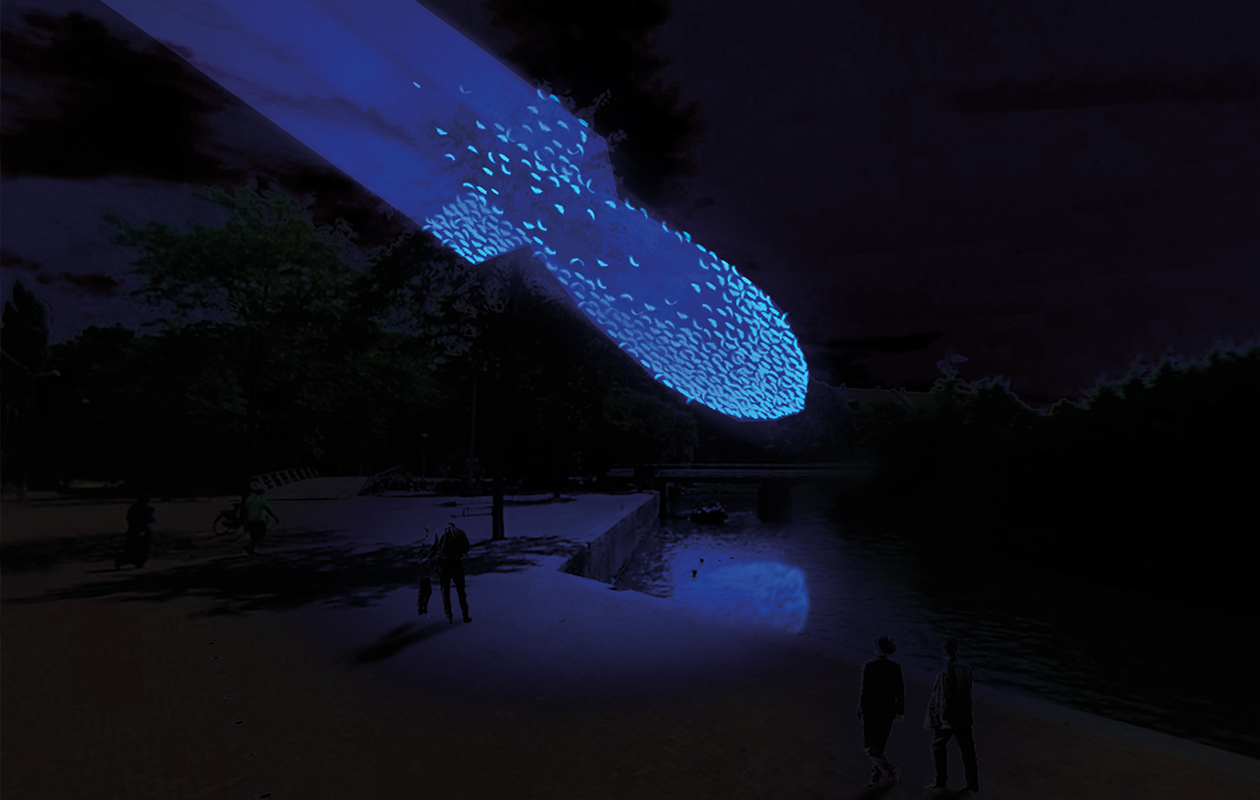 Geniet van het Amsterdam Light Festival vanaf het water!