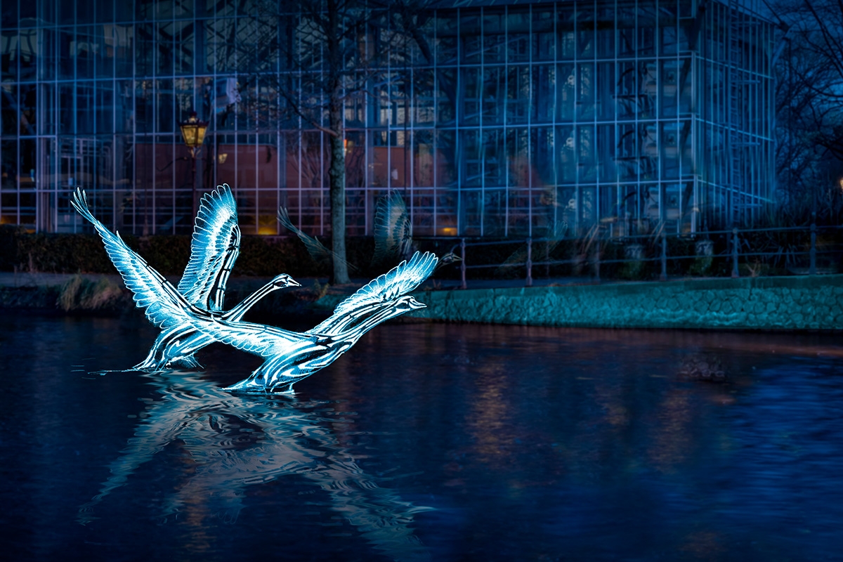 Amsterdam Light Festival rondvaart via Amsterdam Boat Experience