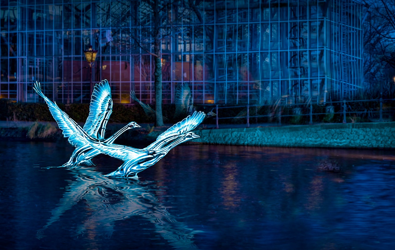 Amsterdam Light Festival rondvaart via Amsterdam Boat Experience
