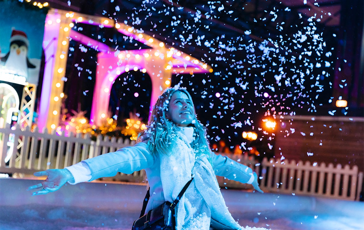 Entreeticket Het Amsterdamse Winterparadijs