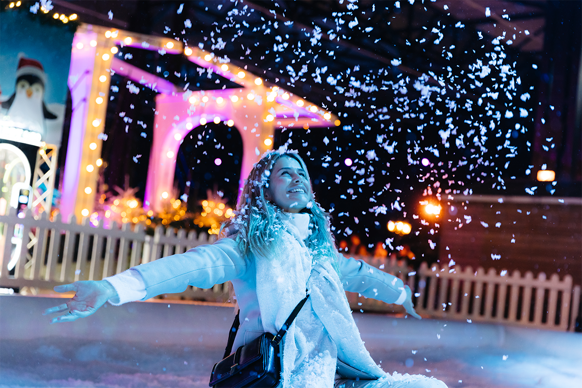 Entreeticket Het Amsterdamse Winterparadijs