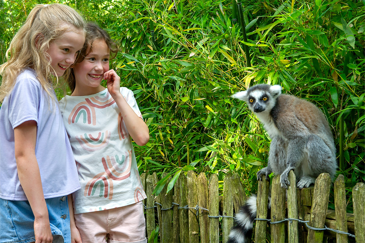 Entreeticket Apenheul