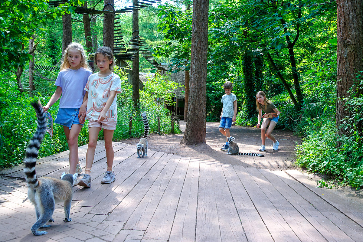 Entreeticket Apenheul