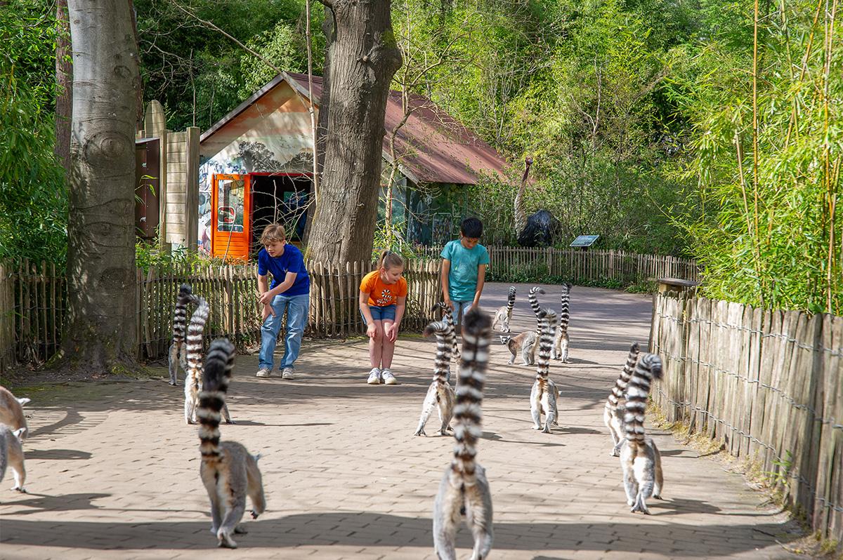 Entreeticket Apenheul