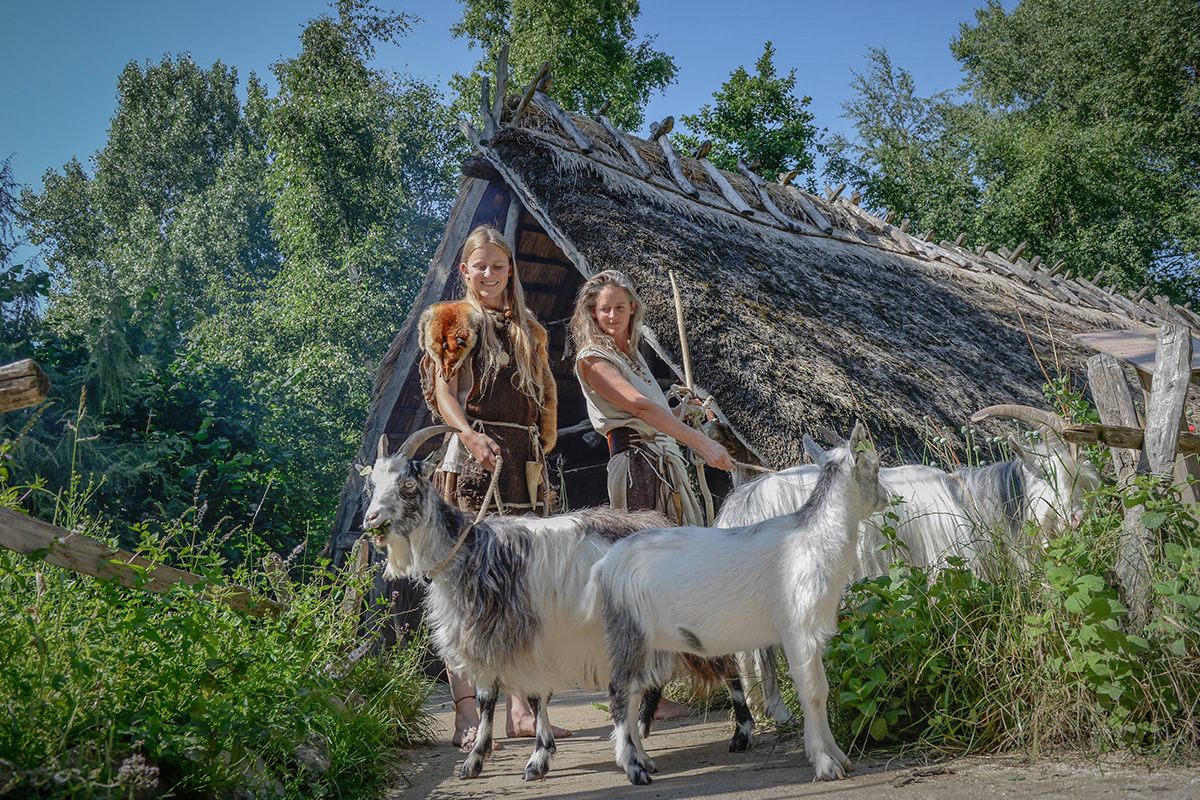 Entreeticket Archeon