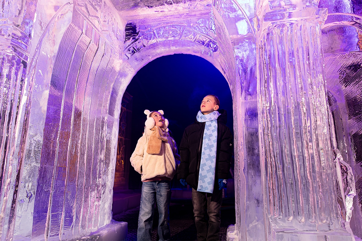 Entreeticket Art Below Zero