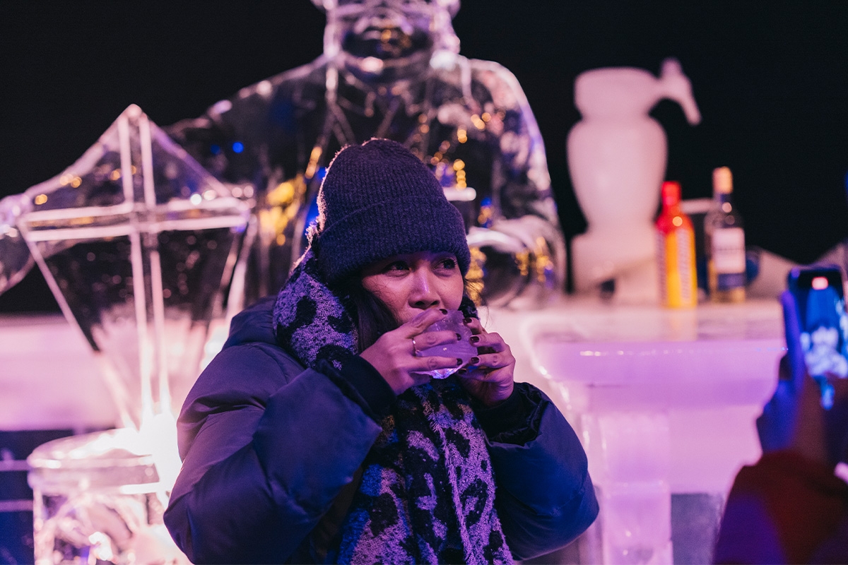 Entreeticket Art Below Zero