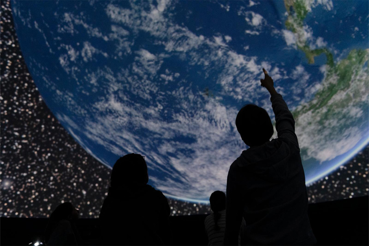 Entreeticket ARTIS-Park