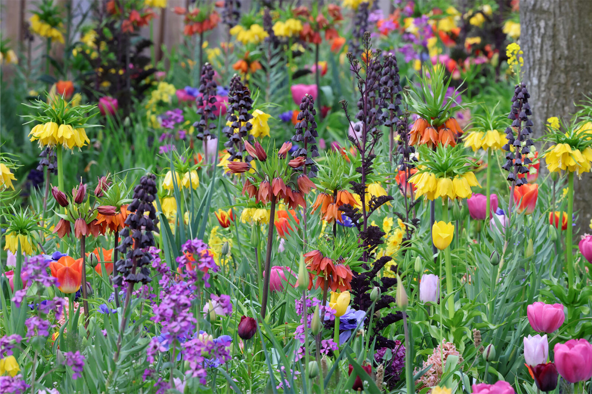 Entreeticket ARTIS-Park