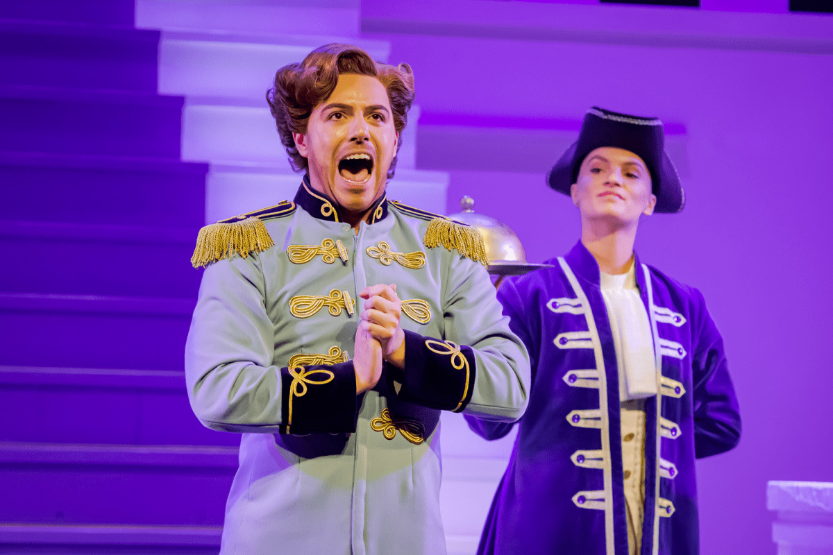 Entreeticket Assepoester De Musical