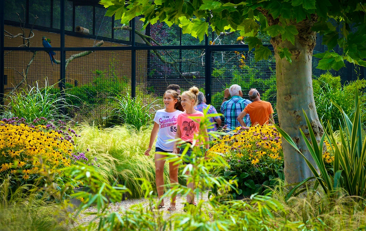 Entreeticket Vogelpark Avifauna + XXL speeltuin