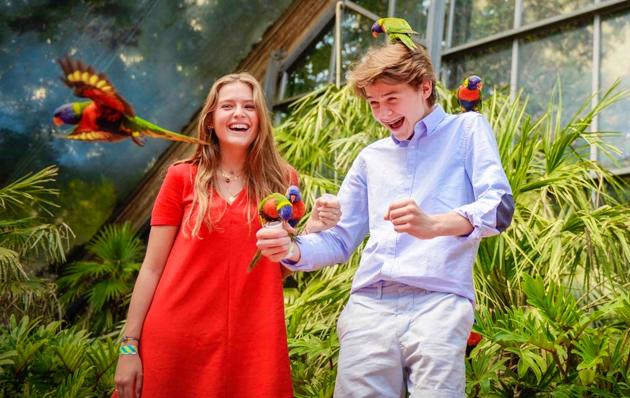 Entreeticket Vogelpark Avifauna + XXL speeltuin