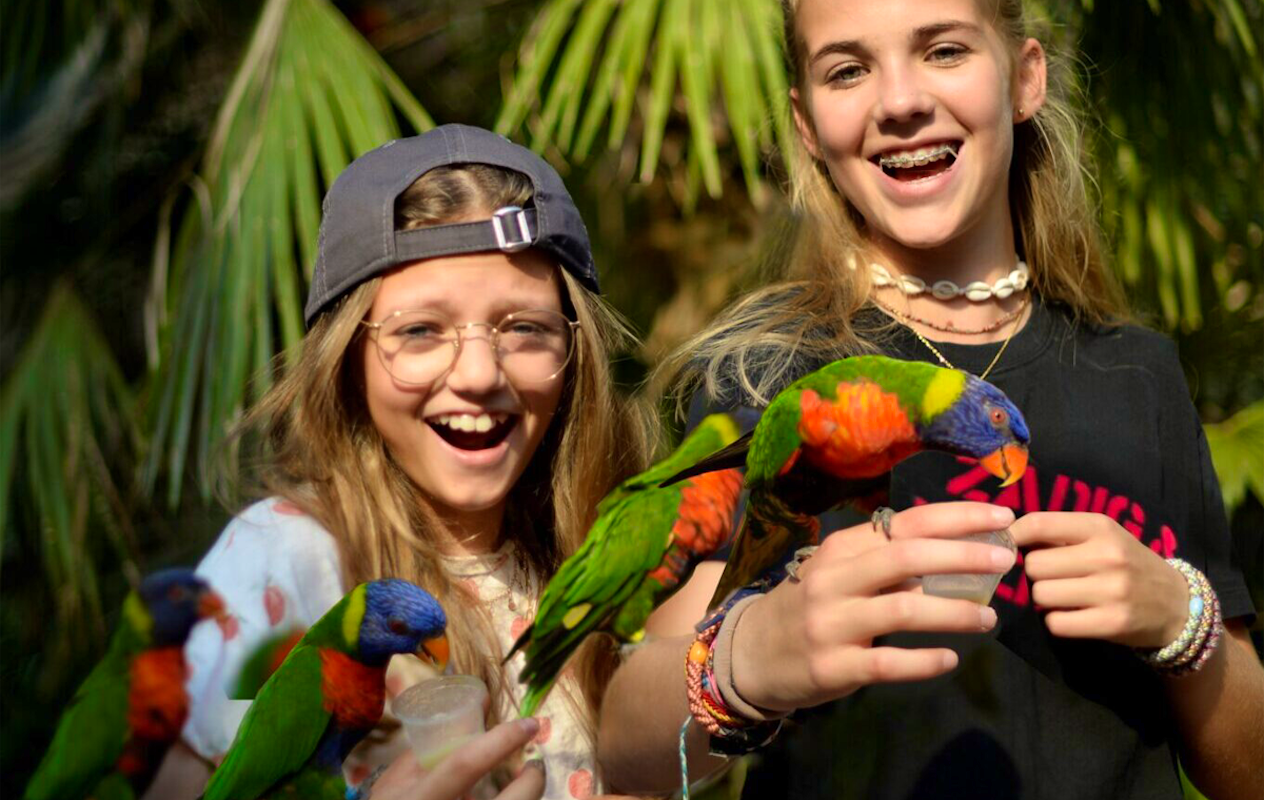 Entreeticket Vogelpark Avifauna + XXL speeltuin