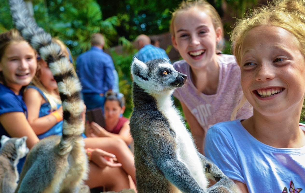 Entreeticket Vogelpark Avifauna + XXL speeltuin