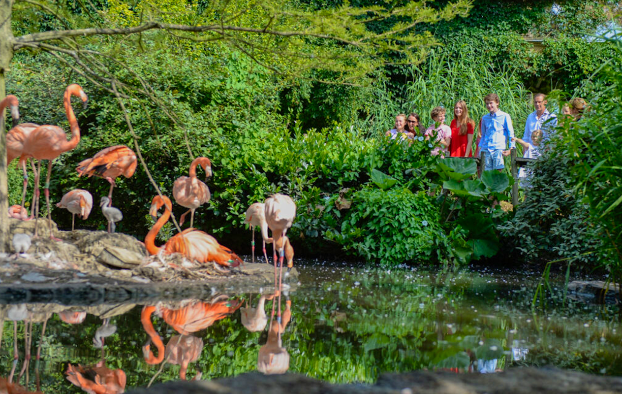 Entreeticket Vogelpark Avifauna + XXL speeltuin