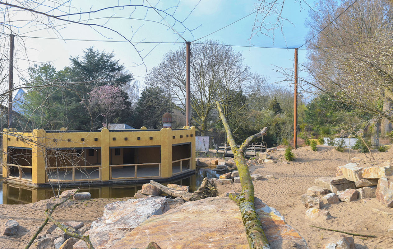 Entreeticket Vogelpark Avifauna + XXL speeltuin