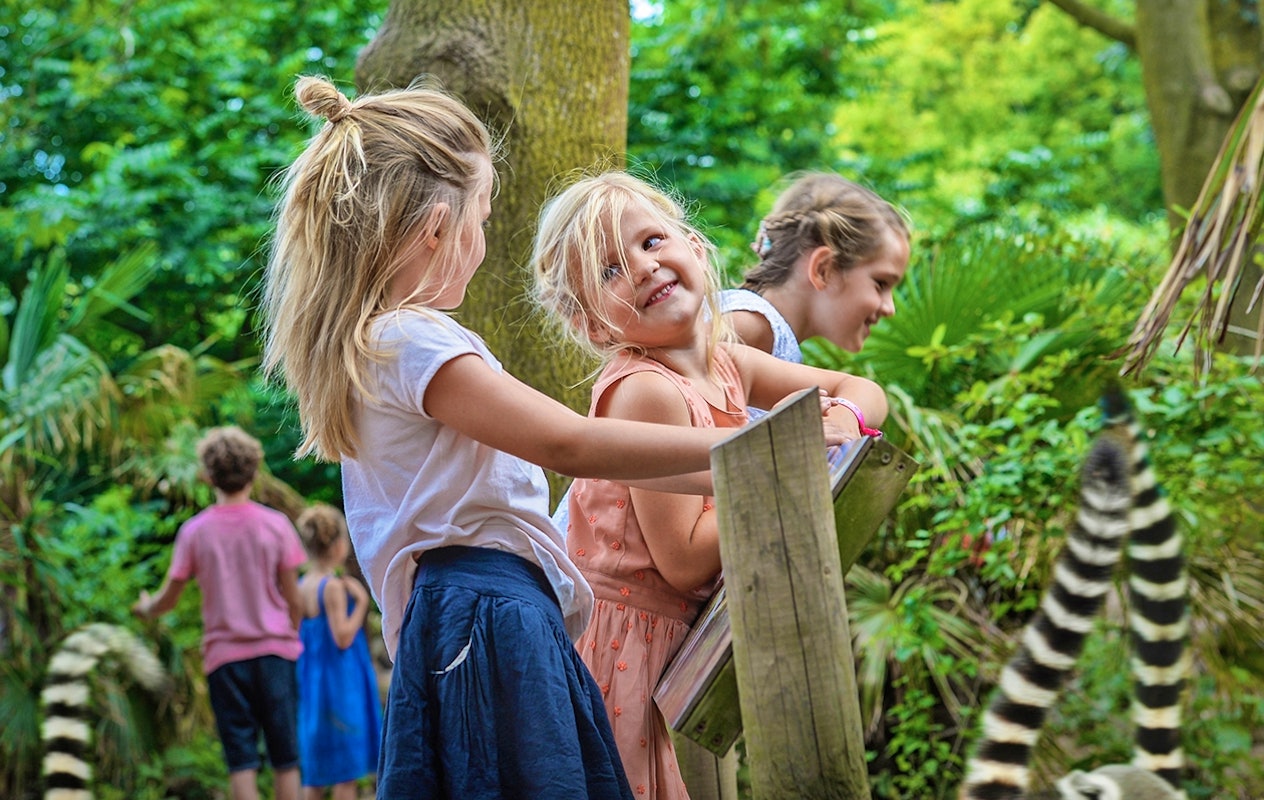 Entreeticket Vogelpark Avifauna + XXL speeltuin