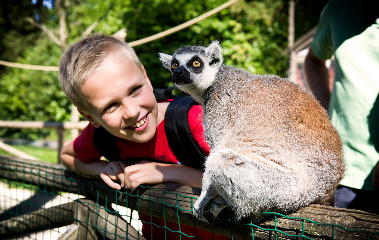 Entreeticket Bellewaerde Park