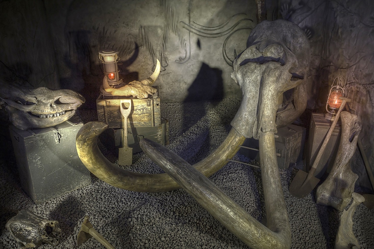 Entreeticket Berkenhof Tropical Zoo